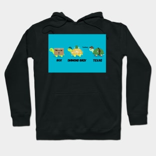 Turtle types version 1/2 selection Hoodie